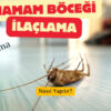 Hamam Böceği İlaçlama