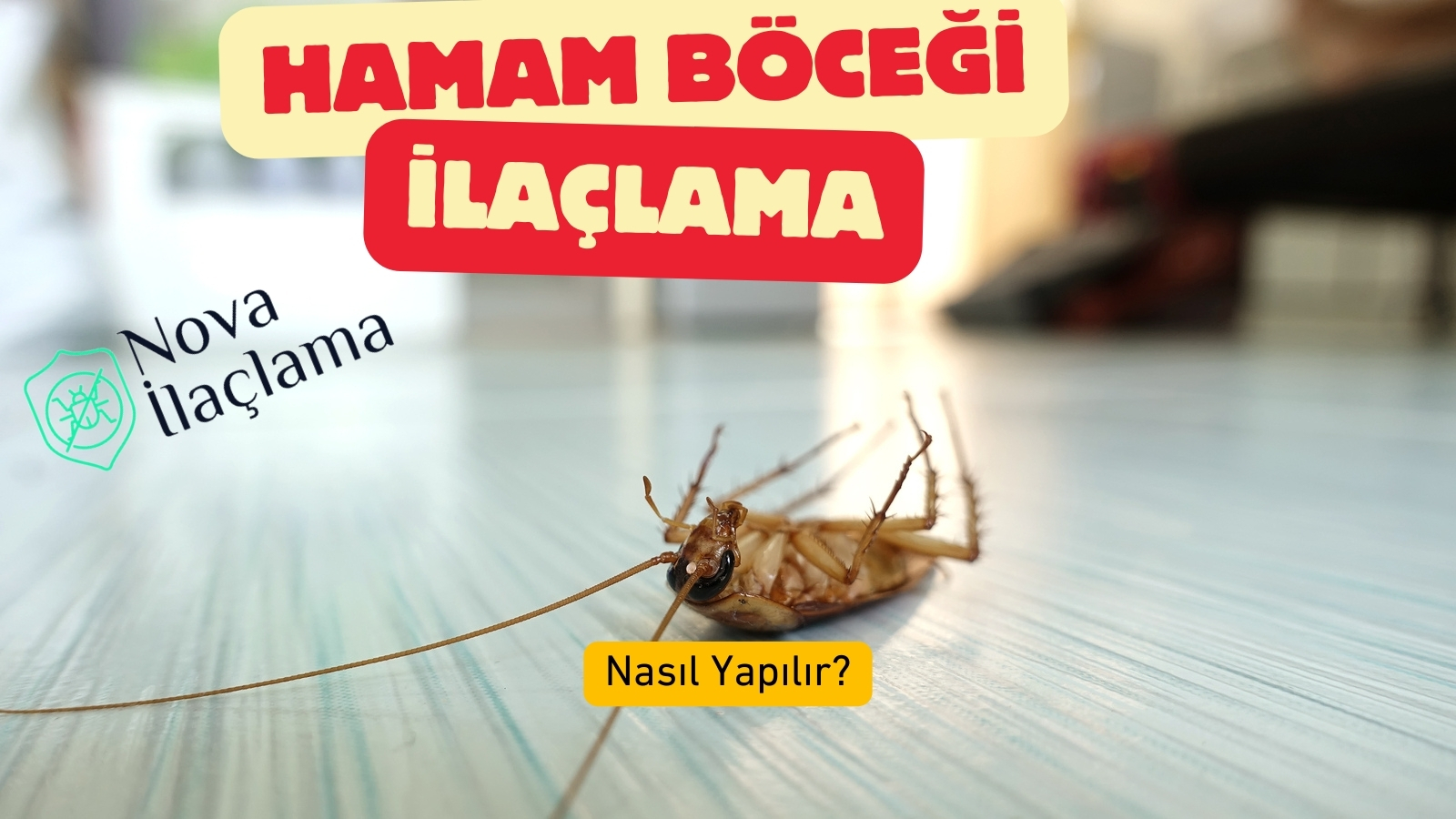 Hamam Böceği İlaçlama Nasıl Yapılır?